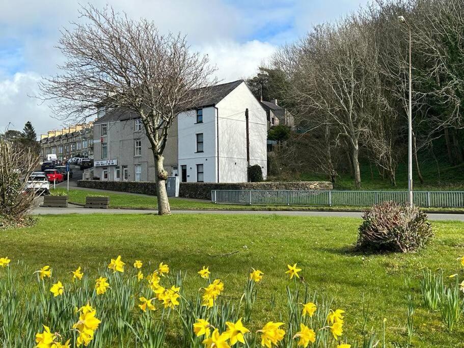 Caernarfon Modern Townhouse Snowdonia Villa Exterior foto